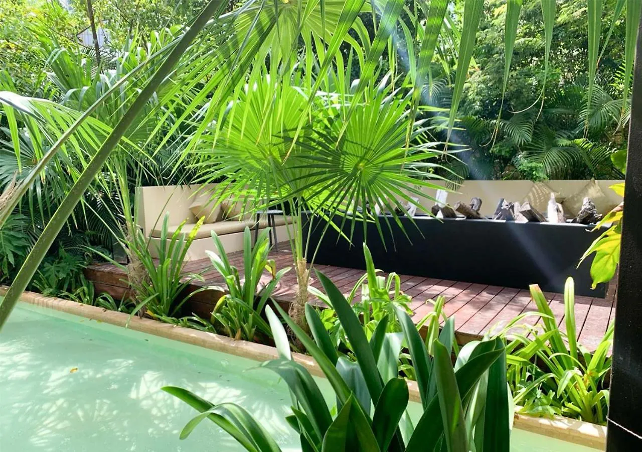 Serenity Studios - Lujo Boho En Tulum La Veleta Apartment